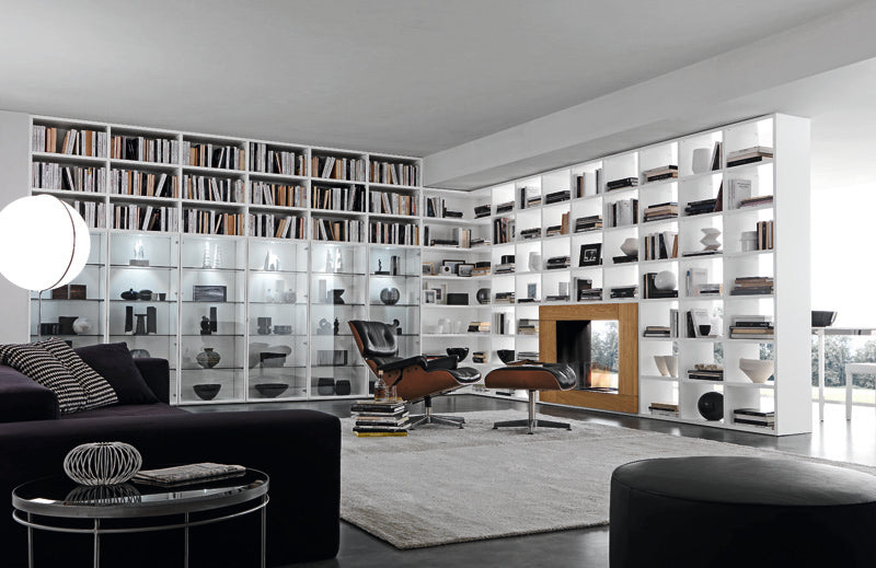 Shelving / Fireplace Unit 02889