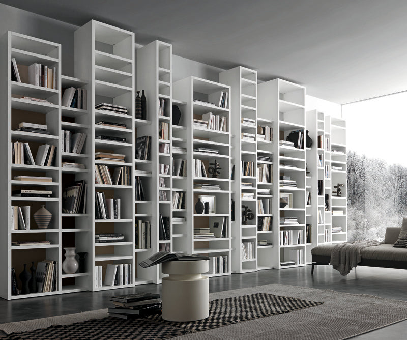 Custom Bookcase 02895