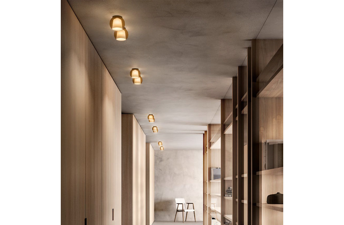 Sconce / Flushmount 00949