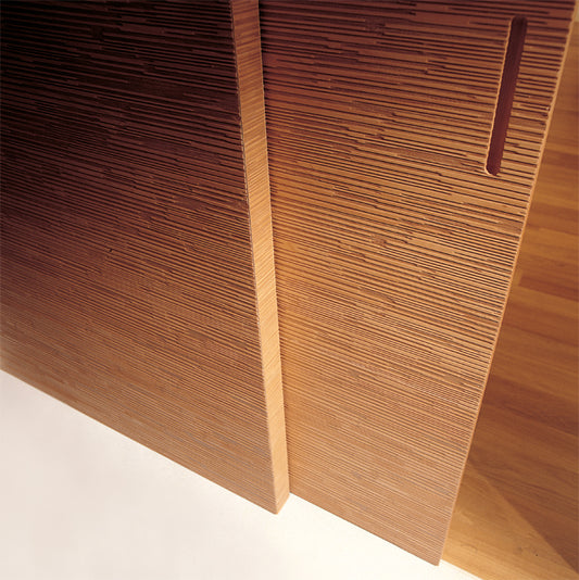 Custom Door System 01921