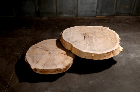 Coffee Table 10241