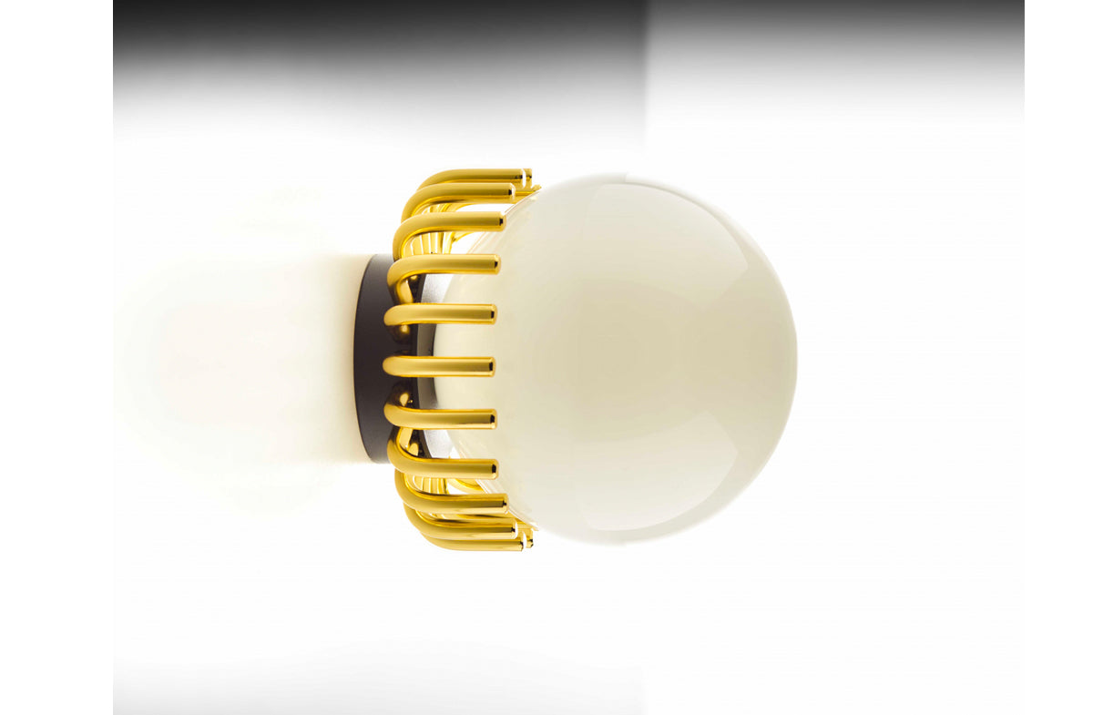 Sconce / Table Lamp 13598