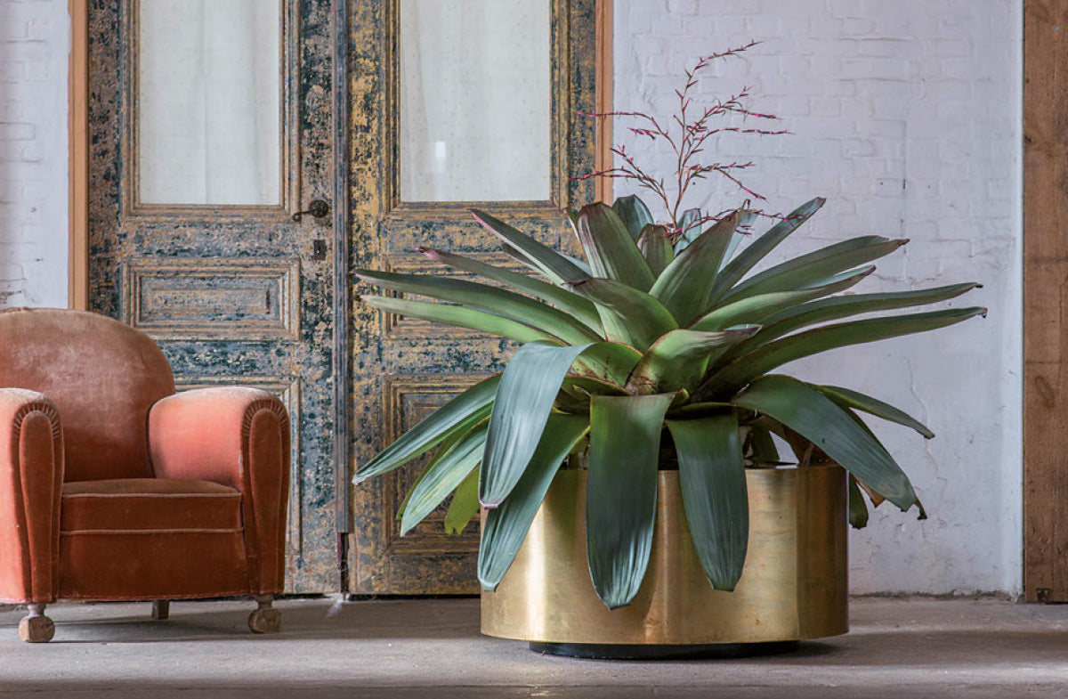 Indoor / Outdoor Planter 15017