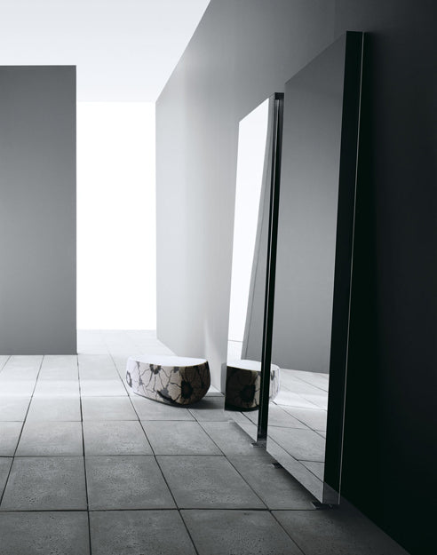 Mirror 02858