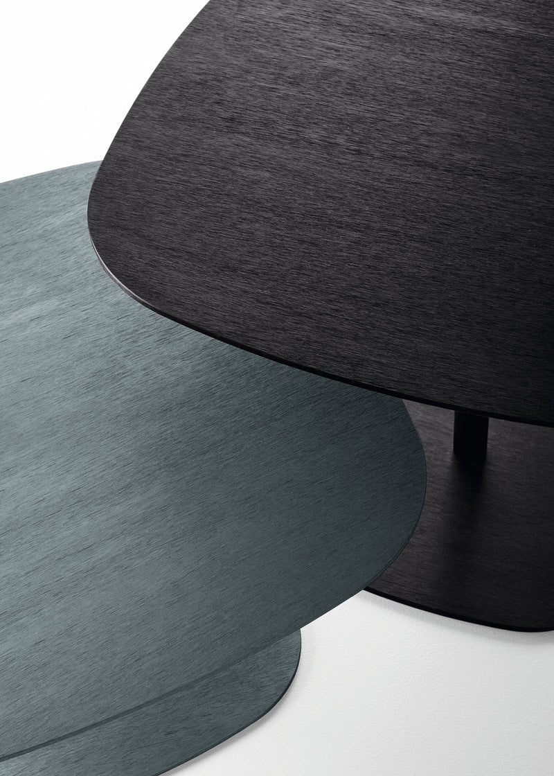Coffee Table 01258