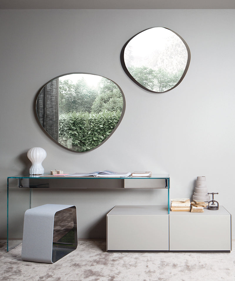Mirror 01310