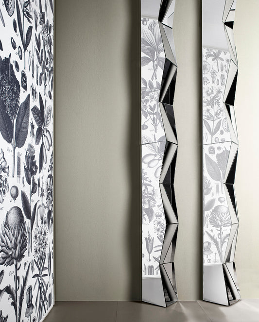 Mirror 01356