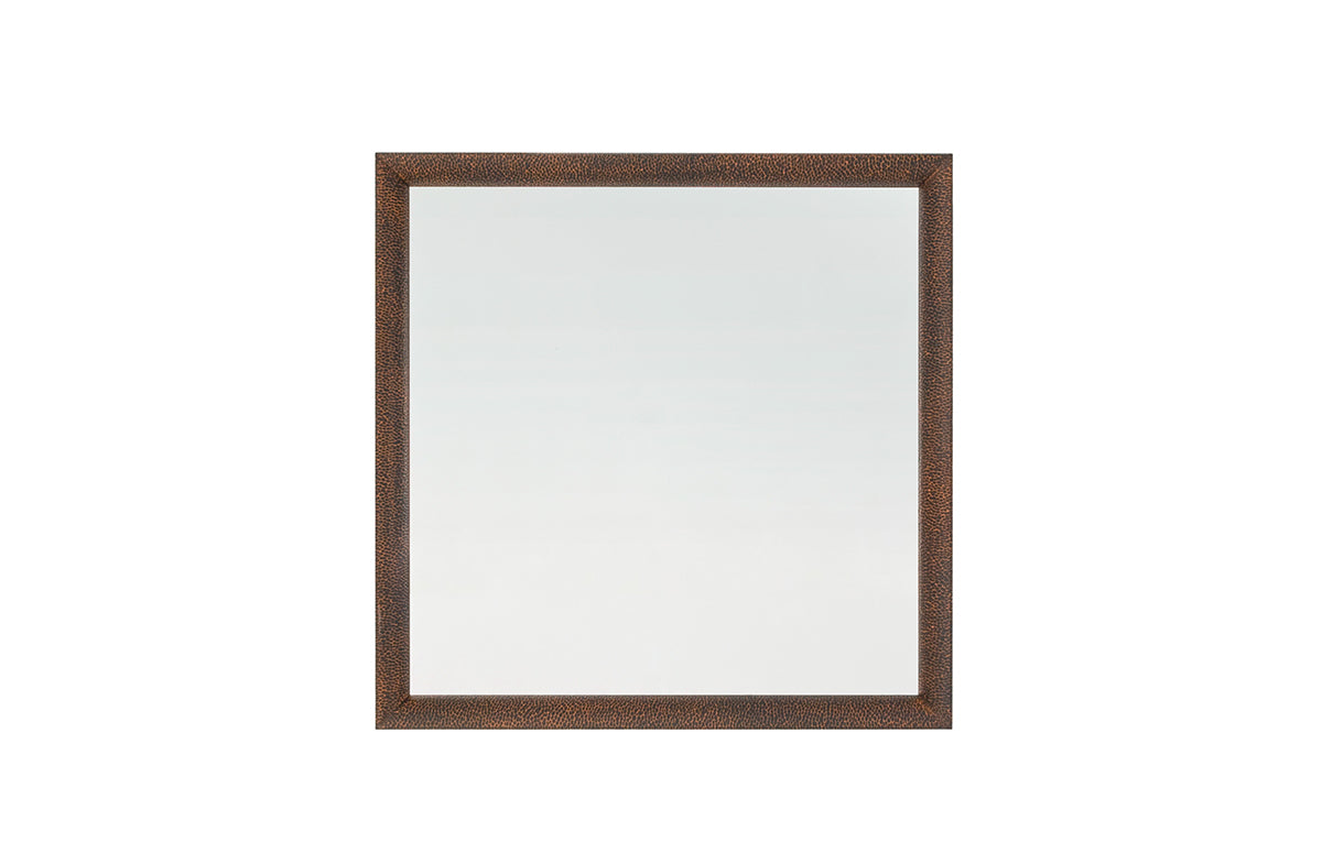 Mirror 04079