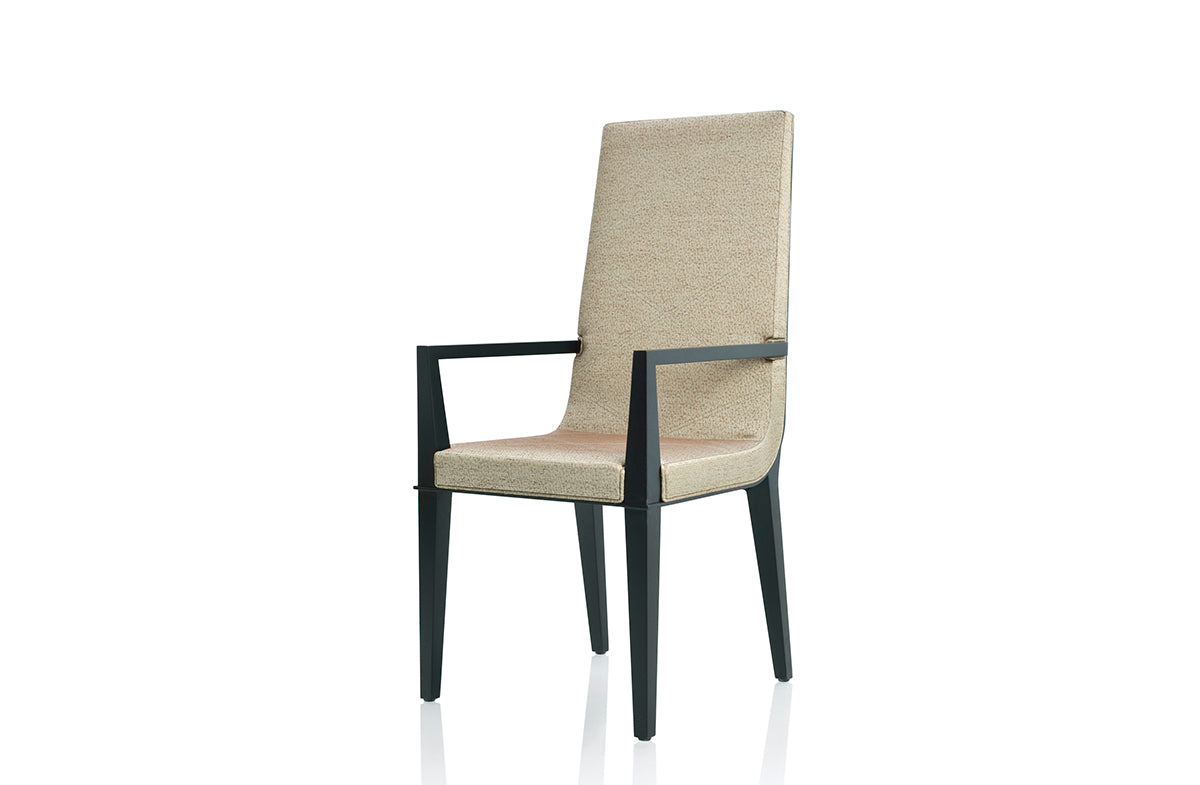 Dining Chair 04263