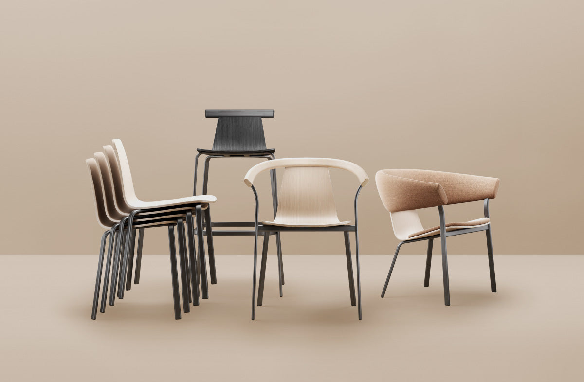 Chair Collection 10460