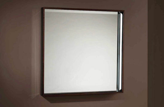 Mirror 11194