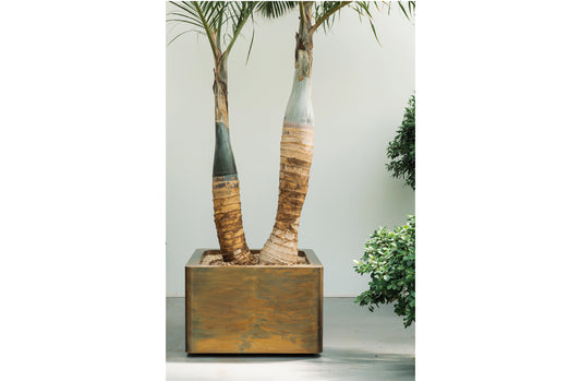 Indoor / Outdoor Planter 15018