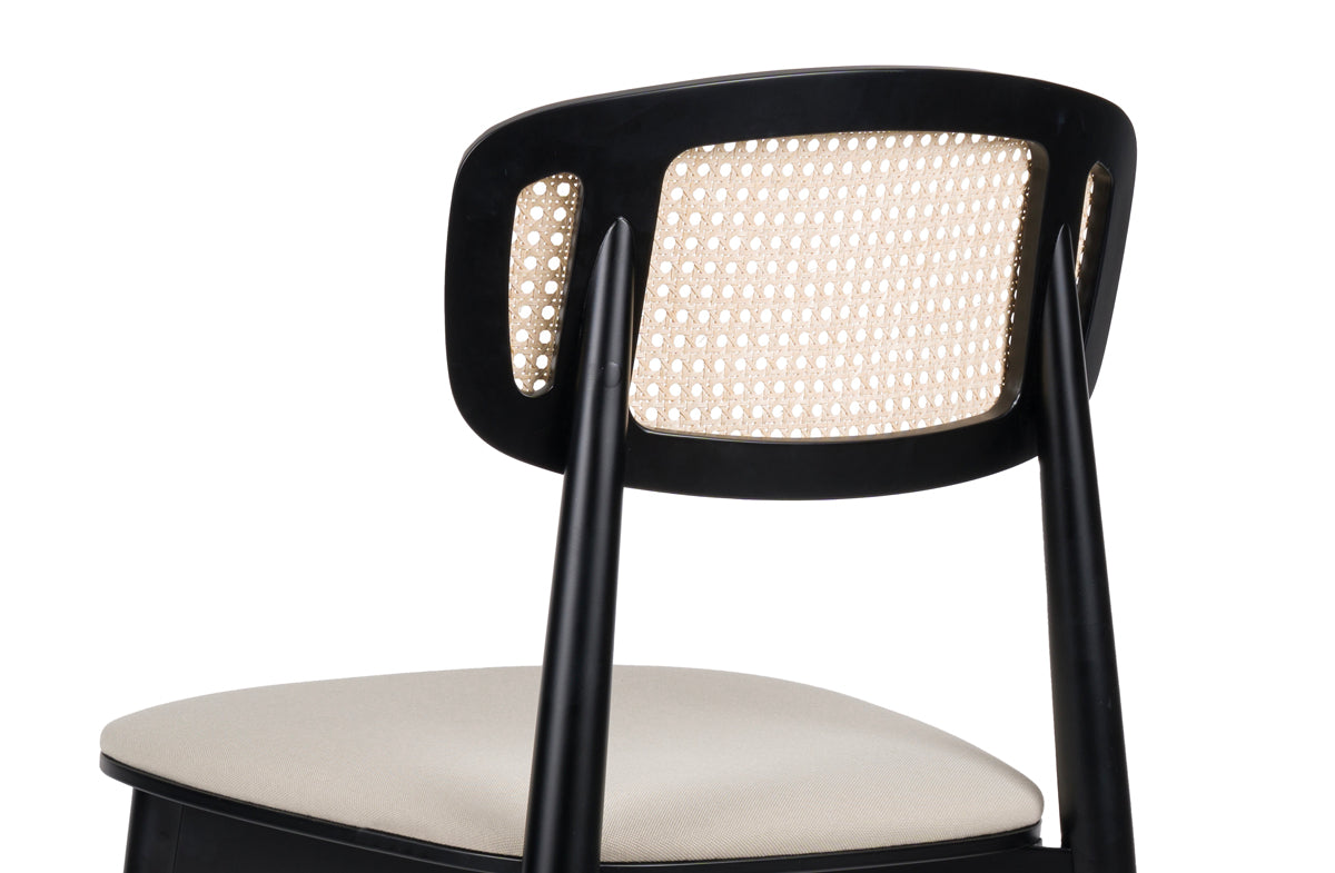 Dining Chair 18229