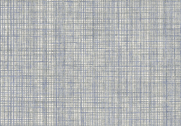 Rug 30051