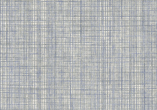 Rug 30051