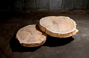 Coffee Table 10241