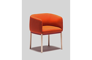 Dining Chair 17465